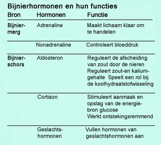 Lichamelijke verbindingen binnen de chakratraditie