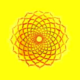 Het kruinchakra als open lotus